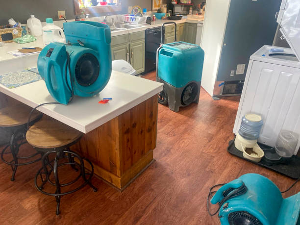 Best 24-hour water damage restoration  in Lockland, OH