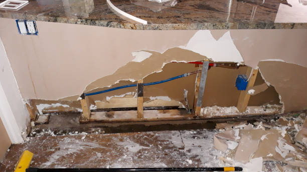 Best Water damage cleanup near me  in Lockland, OH