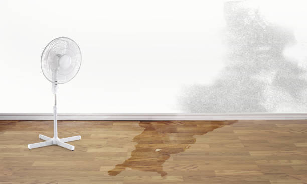 Best Water damage contractors near me  in Lockland, OH