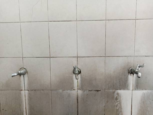 Best Basement water damage restoration  in Lockland, OH