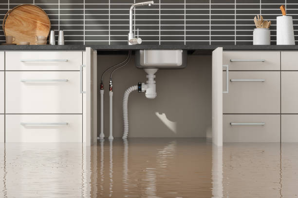 Best Water damage restoration near me  in Lockland, OH