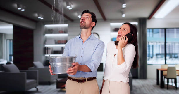Best Flood damage cleanup  in Lockland, OH