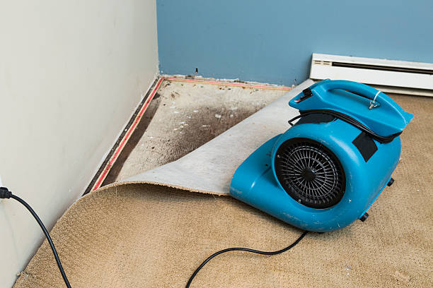 Best Ceiling water damage repair  in Lockland, OH